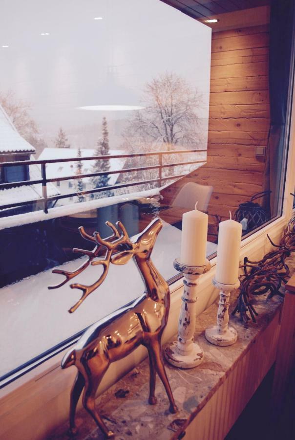 Chalet Am Hasselkopf Braunlage Bagian luar foto